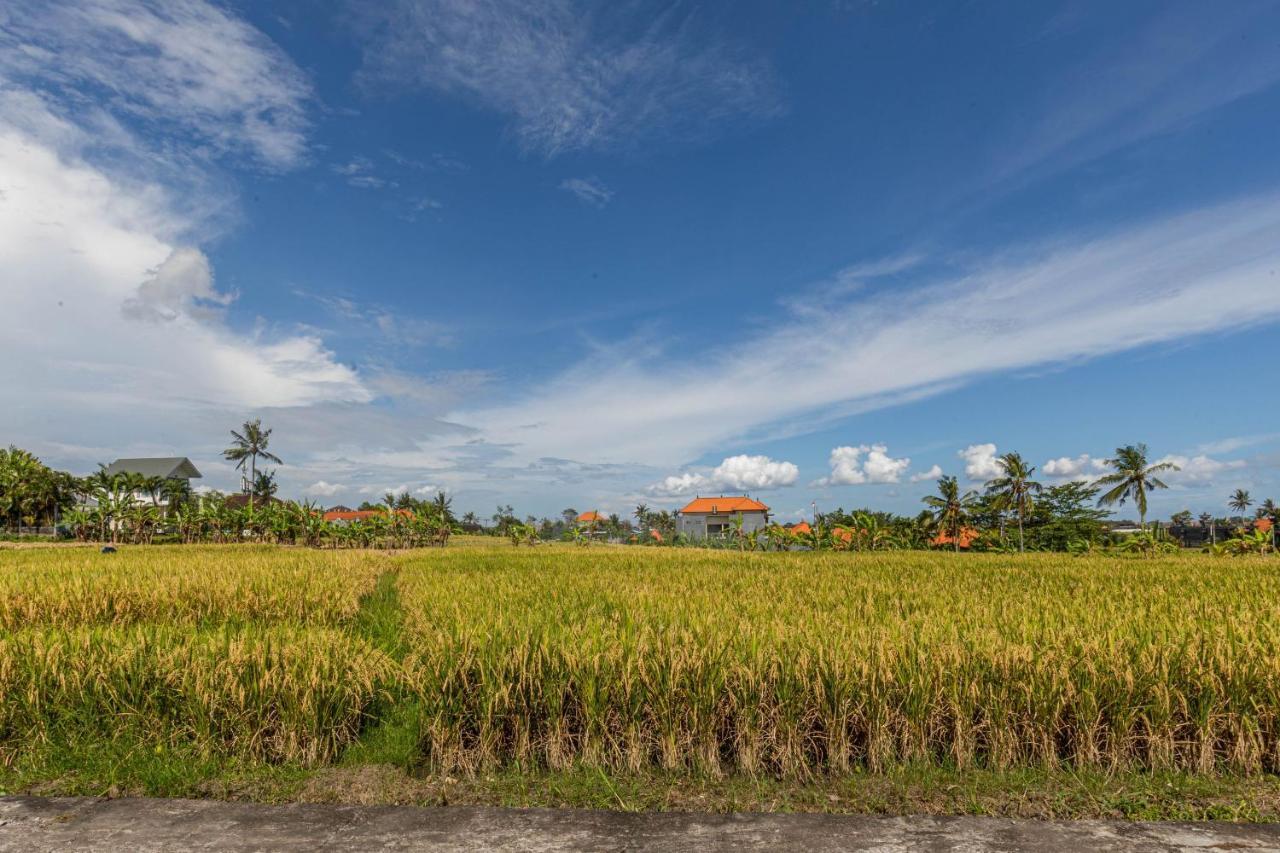D'Jineng Rice Terrace Canggu Exterior photo